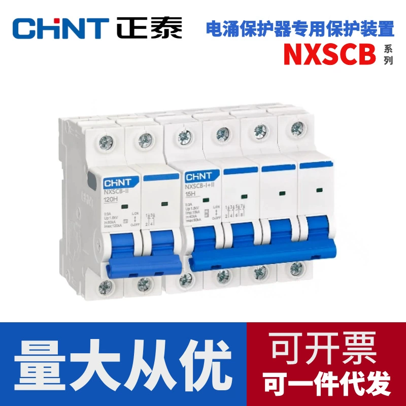 Устройство защиты от обновления задней части Zhengtai NXSCB-I+II 1-й/2-й уровень NXSCB-Ⅱ 20KA40KA 2P4P