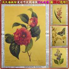 ���]ֲ�ﻨ���b��͹�ţƤ������ �͏d���Ҿư��҃��b���