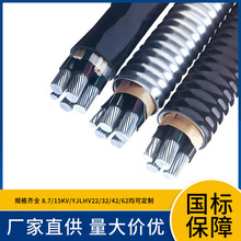 6KV ZC-YJLHV62 1x150 1x185 1x240 1x300 1x400 �Љ��X�Ͻ���|