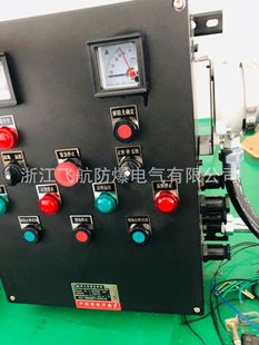 On-site waterproof dustproof anti-corrosion explosion-proof distribution box control box junction box