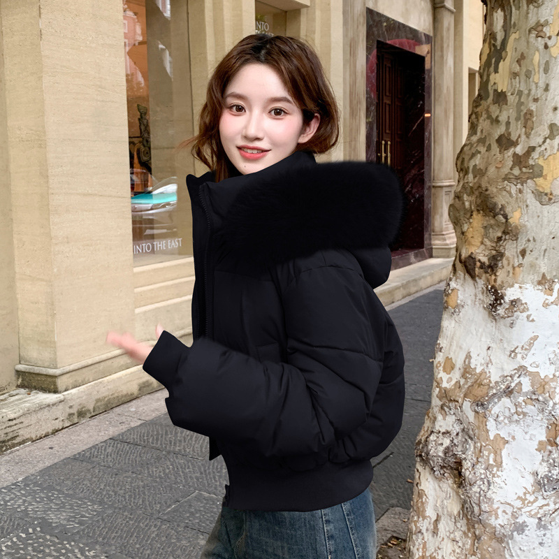 탈모 가능 하이웨이스트 큰 털넥 후드 짧은 면복 외투 여자 겨울 신상 면저