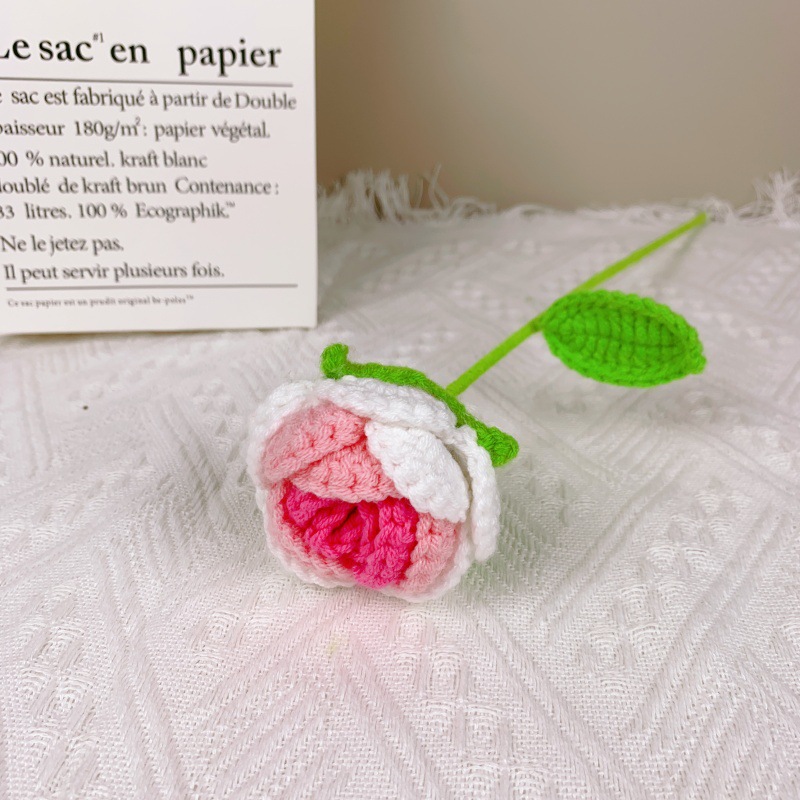 장미 그라데이션 로즈 레드