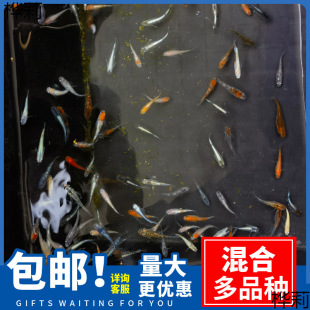 �^�����F�^�p�~С����ˮ�~�V���~���Ӝز���������Ĥ���B����~