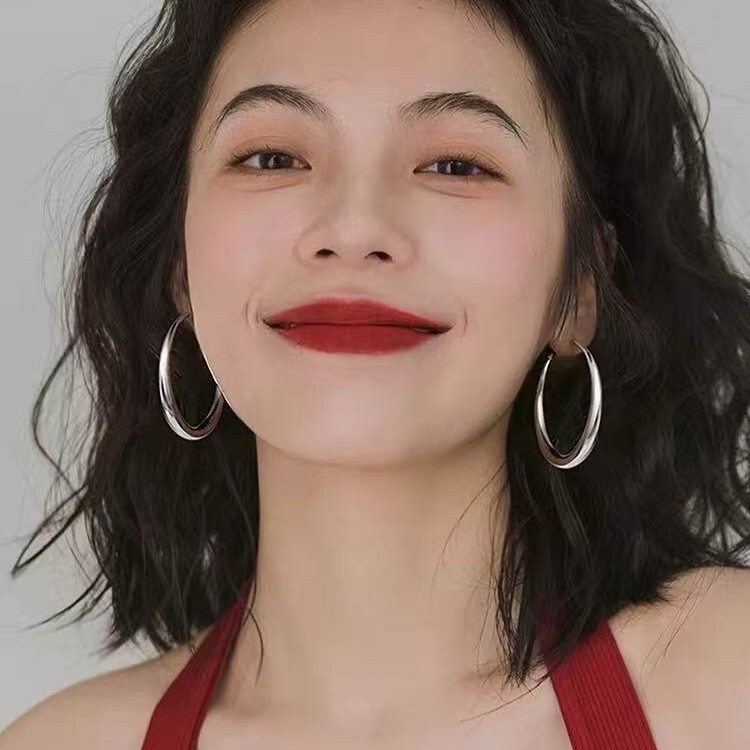 925 Silver Needle Large Circle Earrings Plain Hoop 2025 New Popular Earrings Women's Niche High-End Earrings