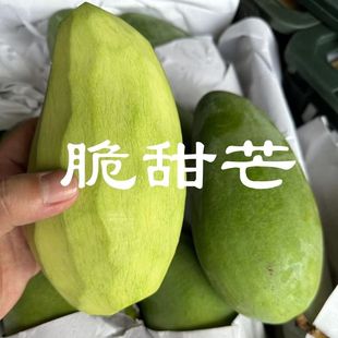 ����â����â������â����â����Ұ����ɳԴ���â�����Դ������l