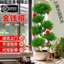 ���X�Ŵ������҃ȓu�X��͏d�k���ҽ��X������辰�lؔ���ļ�