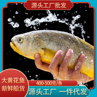 ��؛���S���~���r������rˮ�a�r����r���~����С�S�~�S�~������