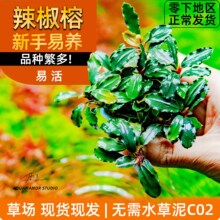 ˮ����r�����B��Բݵ�ˮ�~������С��������˹�������`������