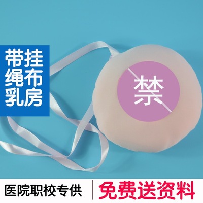 Breast milk Feeding lactation Demonstration guidance Propaganda Teaching aids Fake breast model Lanyard Breast