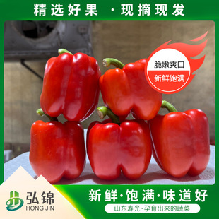 �t�ʽ��r�� �۹�a����������r�Fժ���]����֭�A��