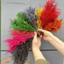 ����ʯ�ɪ{�Ӳ��^ɽ���ɻ�diy���ϼҾ��b��}�Q�b�΢���^diy����