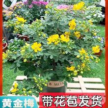 S÷Ԏȸ÷ͺﶬ̨҃͏dͥԺBֲ