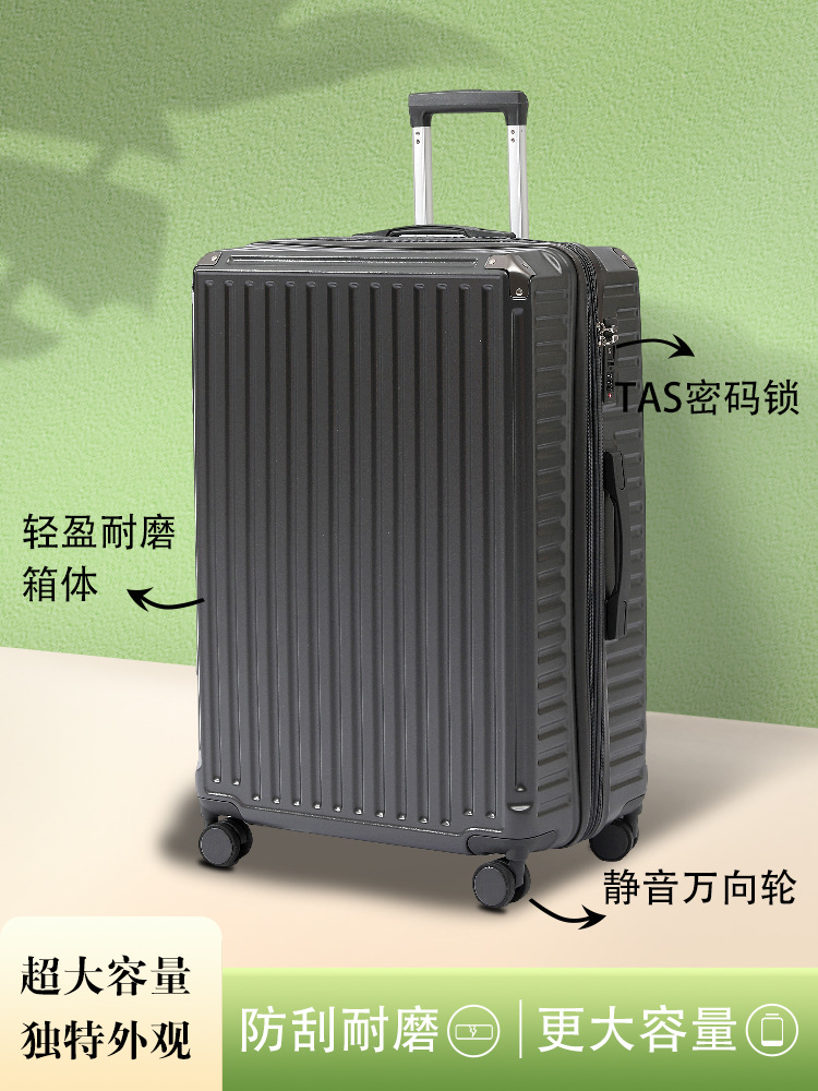 Universal capacious suitcase for men and women
