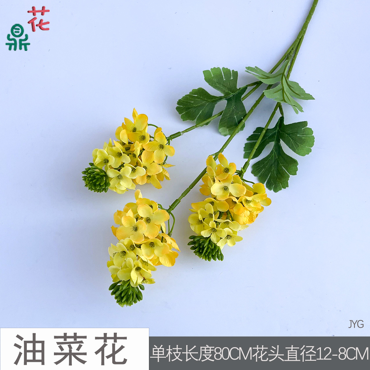 Hoa cải dầu JYG màu vàng