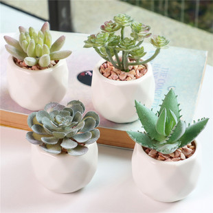 Amazon popular simulation succulent potted artificial flower fake succulent indoor decoration bonsai decoration simulation succulent package