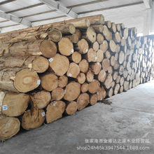 日本桧木原木 日本桧木板材 天然香味 木质细腻 衣柜家具墙板用材