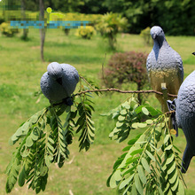 3D兔子箭靶实心靶 EVA泡棉3D靶子原野狩猎仿真鸽子火鸡臭鼬箭靶
