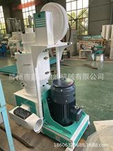 ʽיC ZʳÓƤCΙCĥיC