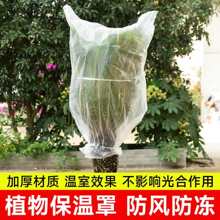 ֲ�������͸�������^�����������ľ���o�ַ��m���������Ա���CJ