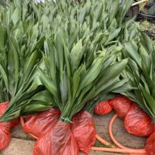 һ~mһ~֩뱧Զwֲ҃ļ