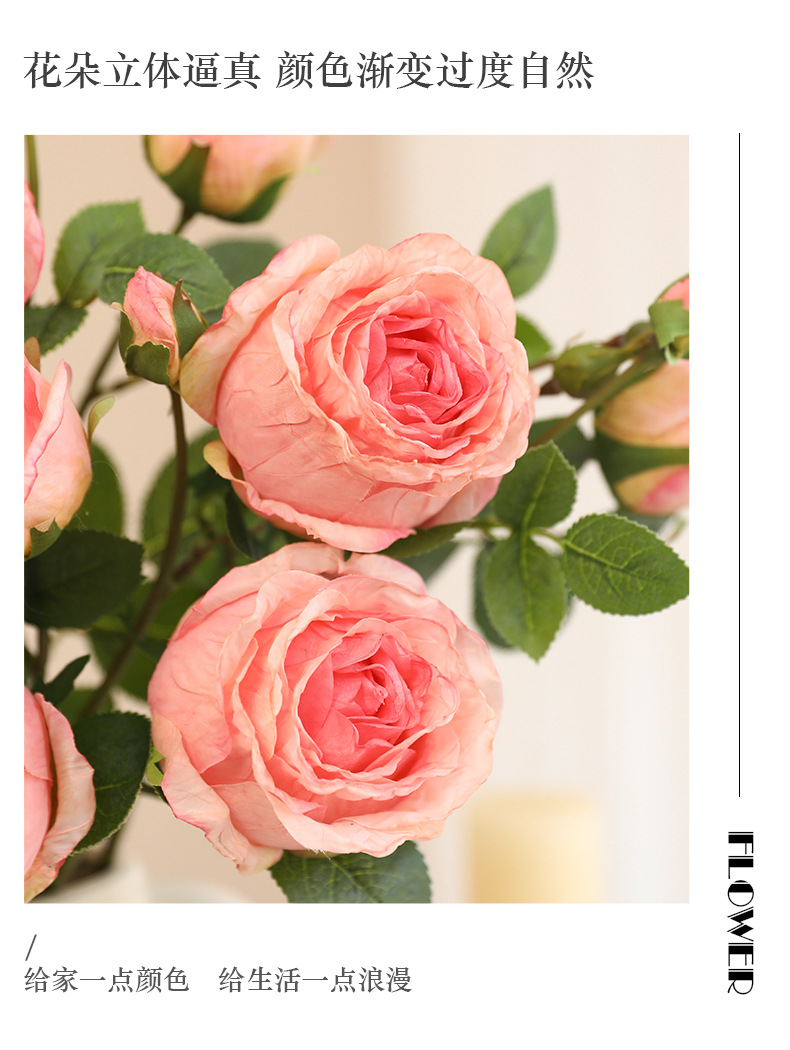 单枝轩雅玫瑰_08.jpg