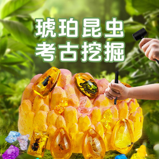 �������x�����ھ����ä�Ѓ�ͯ�ֹ�diy��ʯ����̽���ƌW��������