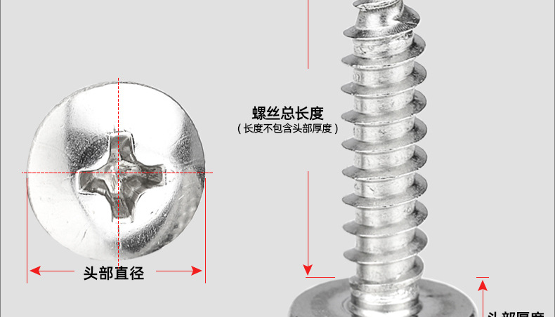 304不锈钢TA十字大扁头自攻螺丝_03_14.jpg
