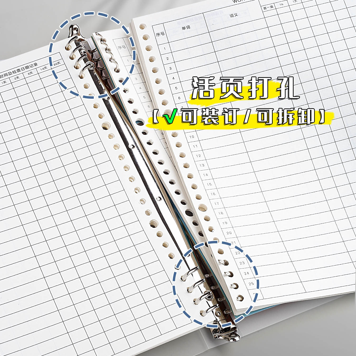 b5活頁單詞本線圈單詞默寫本艾賓浩斯記憶法可換替芯活頁本批發