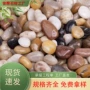 庭院铺地花盆鱼缸鹅卵石