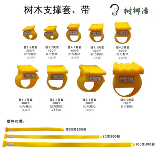 ��ľ֧�ι̶����ױ�����ֲ��֧�μܘ�֧�ܹ���@ˇ�Gֲ���䌣��