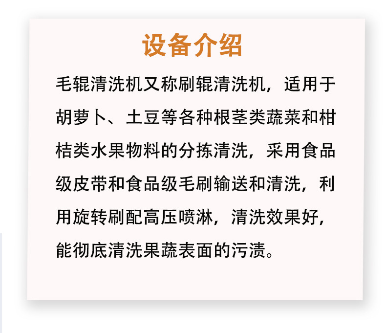 毛辊清洗机_05.jpg