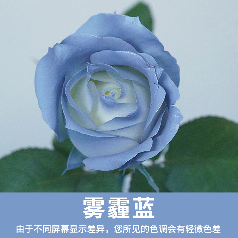 Xingle-light haze blue 480lm