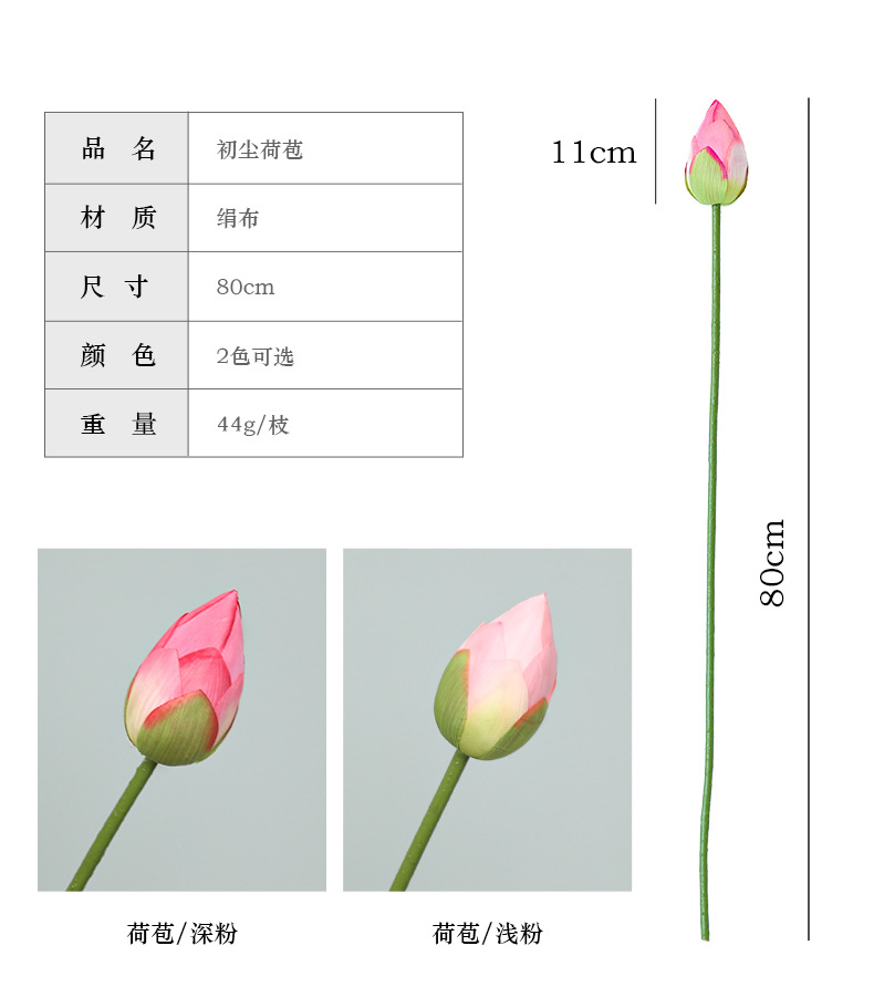 初尘荷花系列_05.jpg