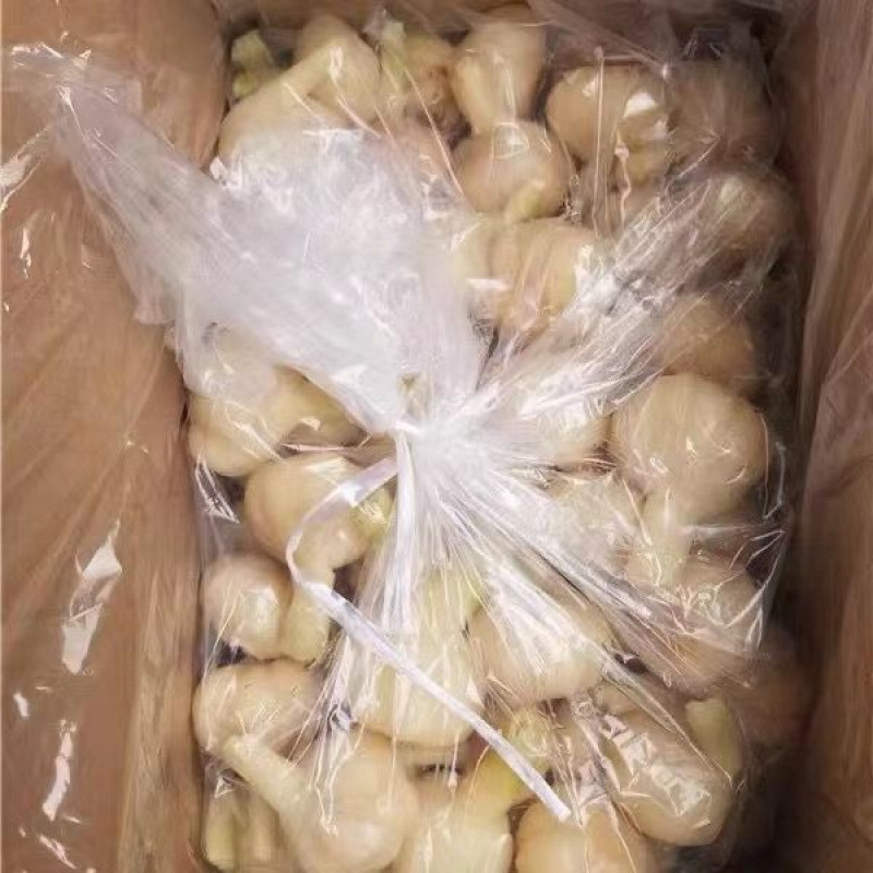 水晶糖醋大蒜斤糖蒜甜蒜腌制泡大蒜头蜜汁糖醋蒜瓣泡菜批发批发