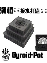 �����ͳ���ֲ�ﻨ����������ˮ�P�҃Ȼ��ܽ�ˮ�Vˮ�|�ߵ�������