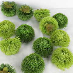 シミュレーション緑の石竹の花の頭の緑の毛玉の緑の植栽の置物の創意的な家庭の客間のデスクトップの装飾はボールのコケを刺します。
