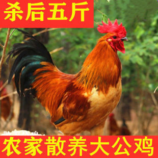 �F�����u�r��ɢ�B���u���u���u�����u�ߵ��u���r�u���u�����u