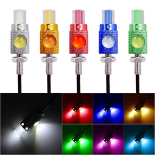 Car motorcycle license plate light electric car modified screw light 2LED double eagle eye light rear brake light decoration light