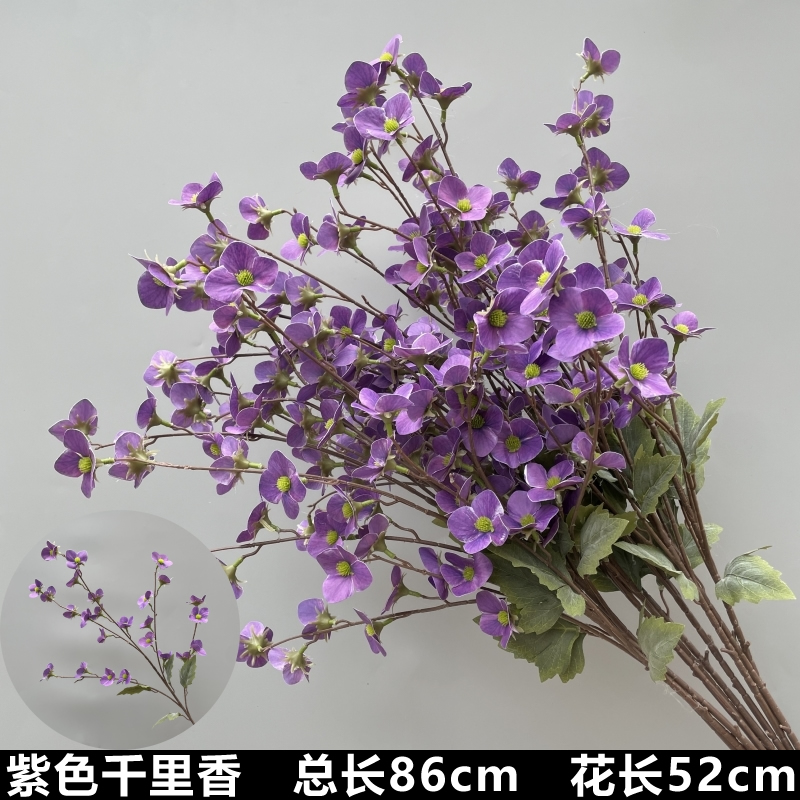 보라색 천 마일 향기