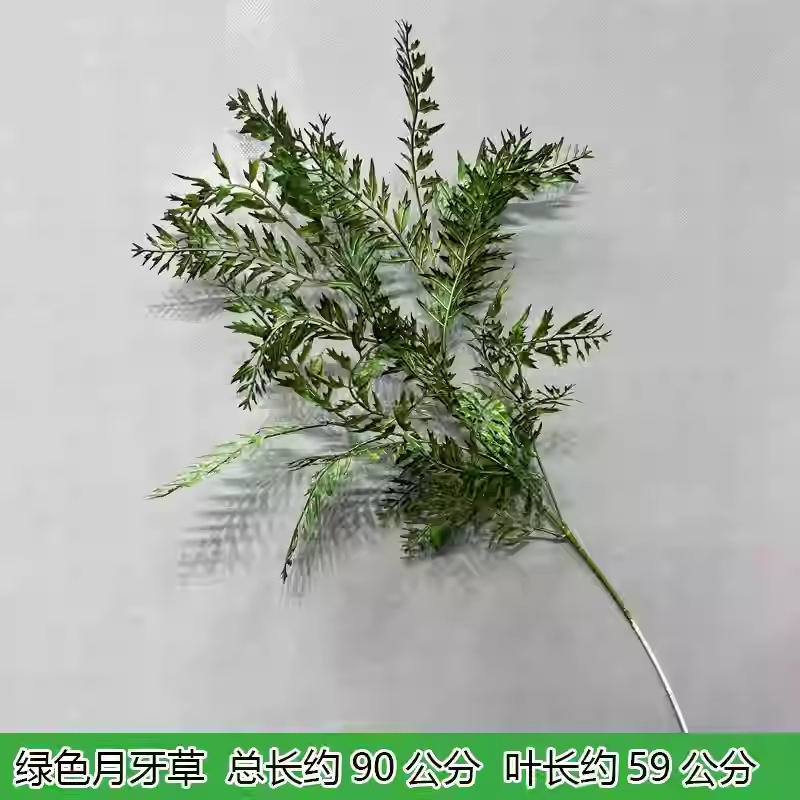芦荀草绿植花龙须草假花白绿森系婚庆装饰自然风背景插花路引|undefined