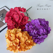 �羳5�^������滨��c���}���Ĳ廨��������پ����������l