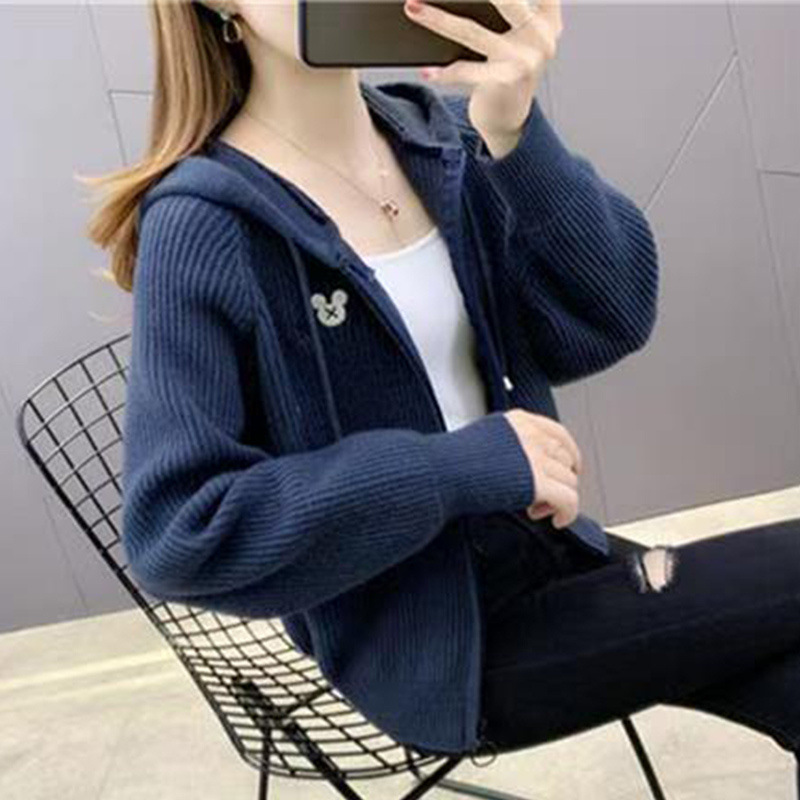 连纯色针织开衫外穿短款女上衣春秋季新款宽松洋气百搭毛衣外套女|undefined