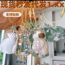 透明猫毛纳盒吊饰扭蛋猫咪毛发放胶囊纪念藏包钥匙包挂件外贸爆款