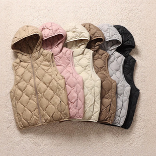 2025�ﶬ�¿��p���Bñ���e�̿������q�����R�״�׃ȴ�籣ů