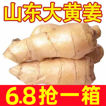 生姜老姜新鲜山东大姜10斤黄姜风干姜月子姜老姜母生姜块整箱包邮