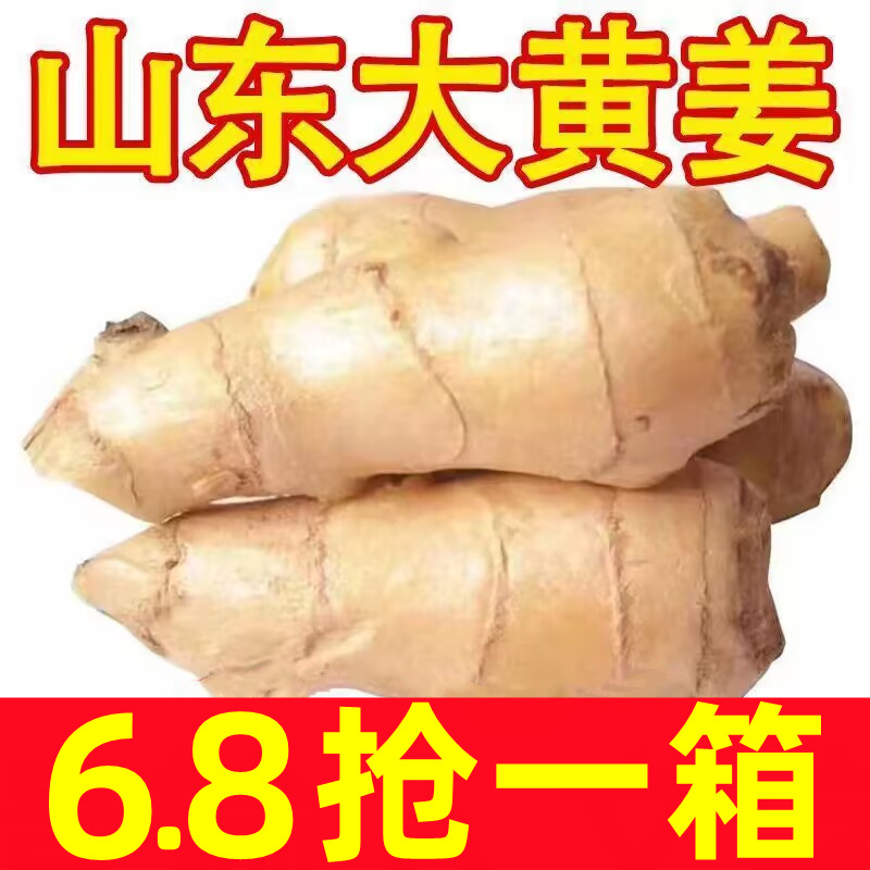 生姜老姜新鲜山东大姜10斤黄姜风干姜月子姜老姜母生姜块整箱包邮