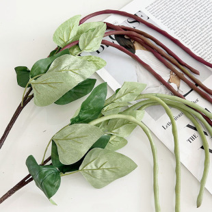 ����Gֲ�L֧�ļ��� �Ϛg���ҾӘӰ巿��ˇ���Ȥζ�b������