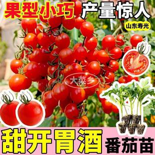 ������N�Ӵ����t���N�Ѳ��������߲���С��������ǧ���}Ů������