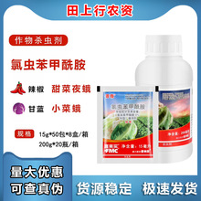 �����Ű�����������x�����������{���˲����x���z�x�rș���x��