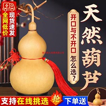 ��Ȼ���J�������J���Ї��Y�����_���T���T�͏d���P�[����̖����